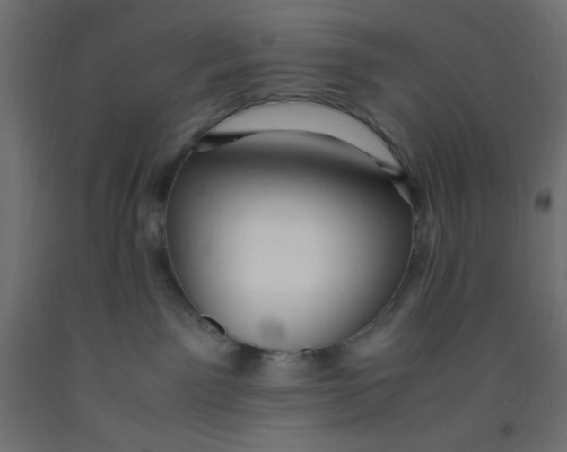 X0000092310141200710121505