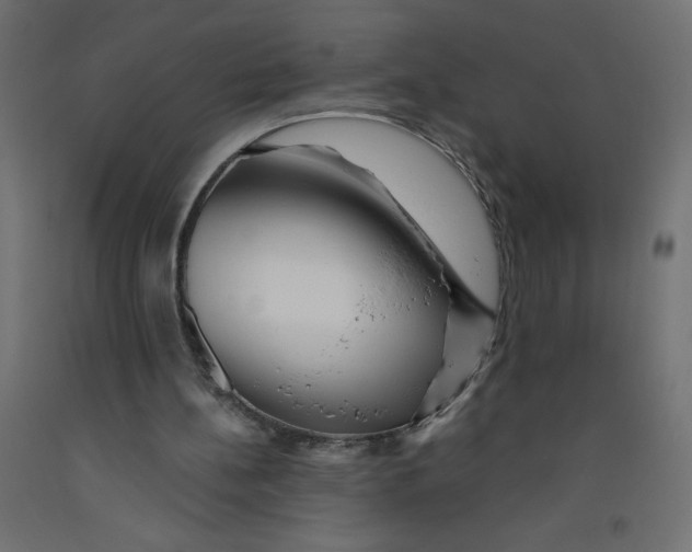 X0000092310148200710121505