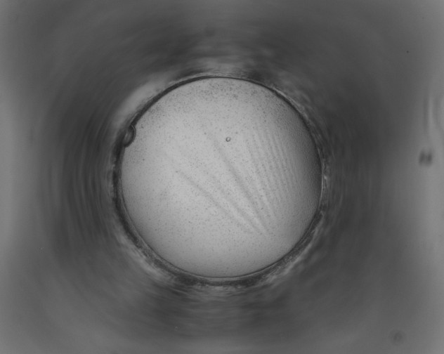 X0000092310149200710121505