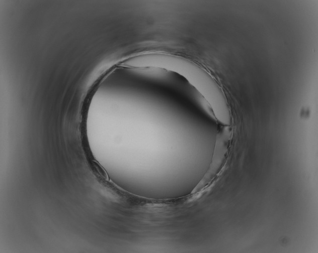 X0000092310150200710121505