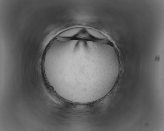 X0000092310151200710121505