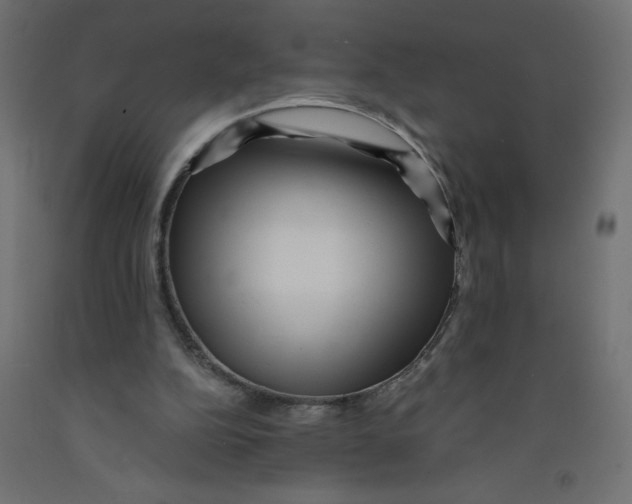 X0000092310152200710121505