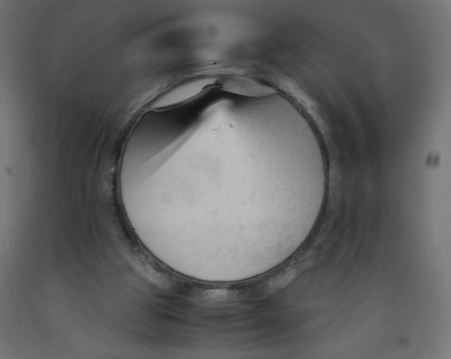X0000092310153200710121505