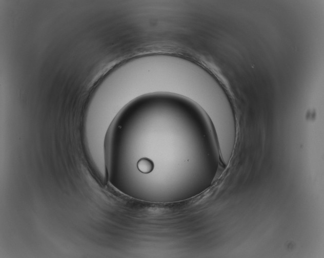 X0000092310154200710121505