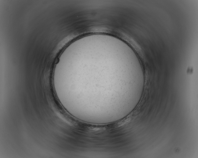 X0000092310155200710121505