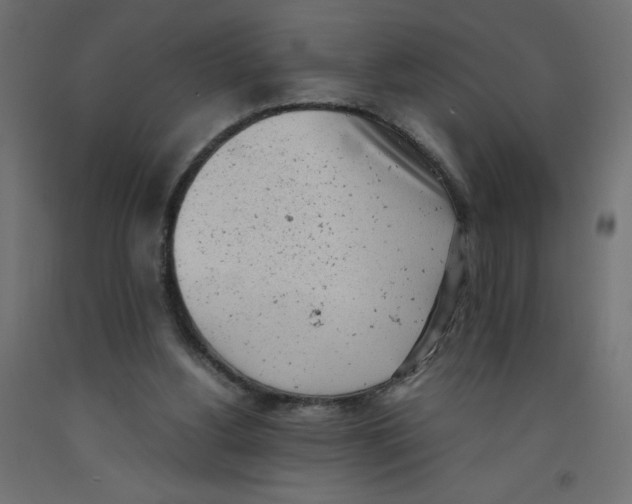 X0000092310156200710121505
