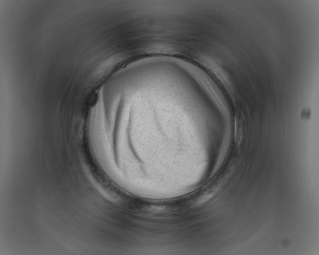 X0000092310157200710121505
