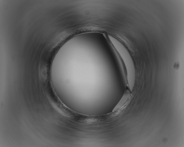 X0000092310158200710121505