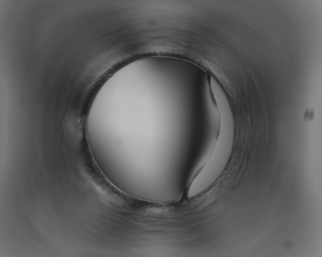 X0000092310160200710121505