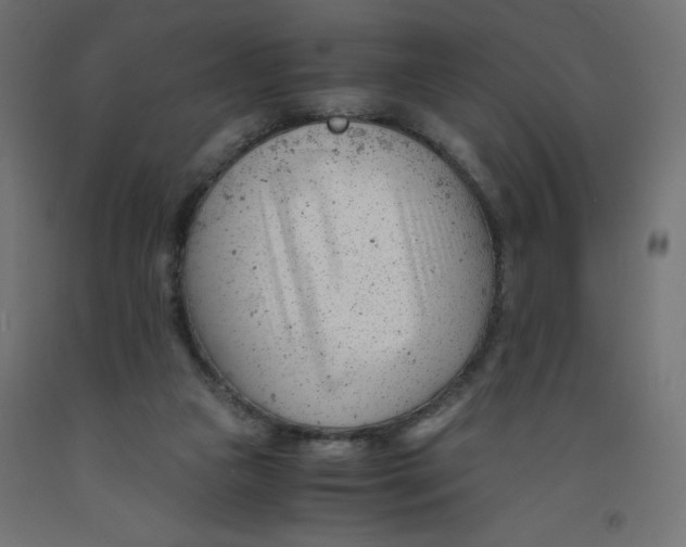 X0000092310161200710121505