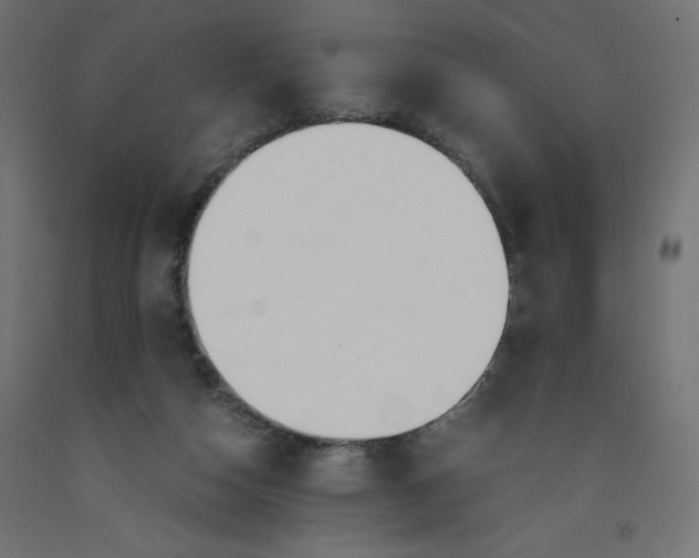 X0000092310162200710121505
