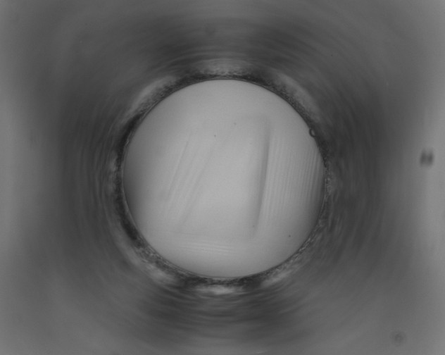 X0000092310163200710121505