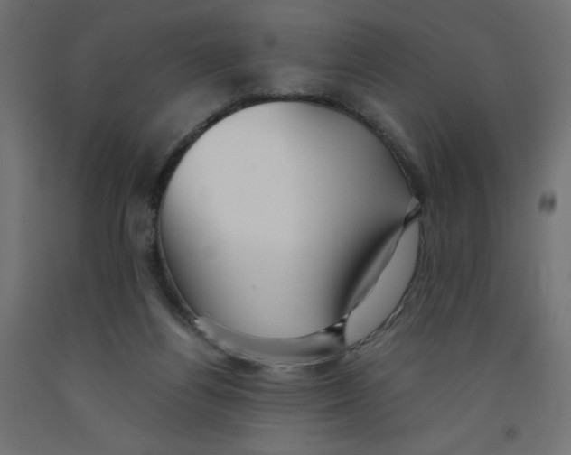 X0000092310164200710121505