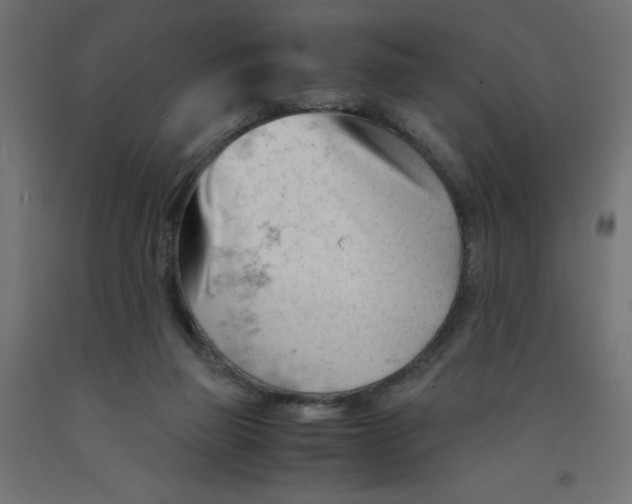 X0000092310165200710121505
