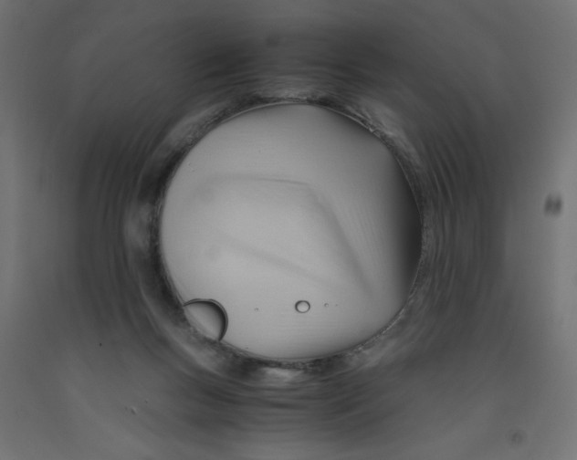 X0000092310167200710121505