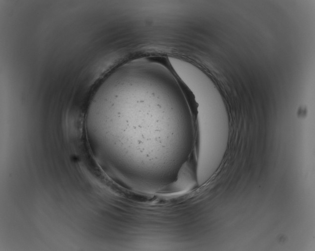 X0000092310168200710121505