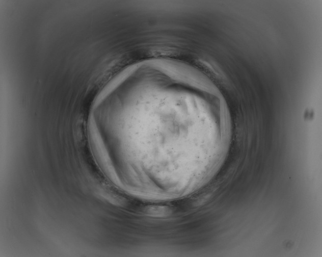 X0000092310169200710121505