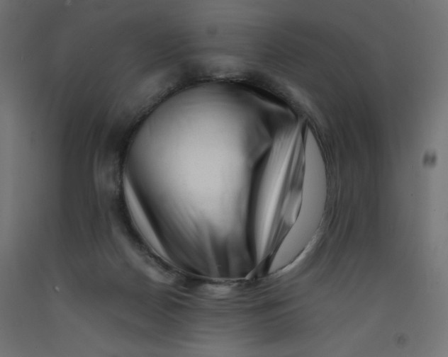 X0000092310170200710121505