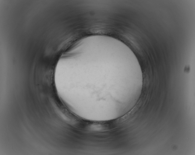 X0000092310171200710121505