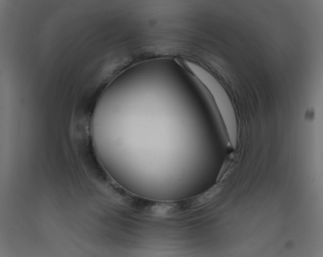 X0000092310172200710121505