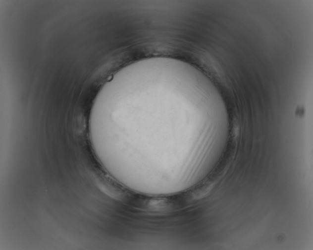 X0000092310173200710121505