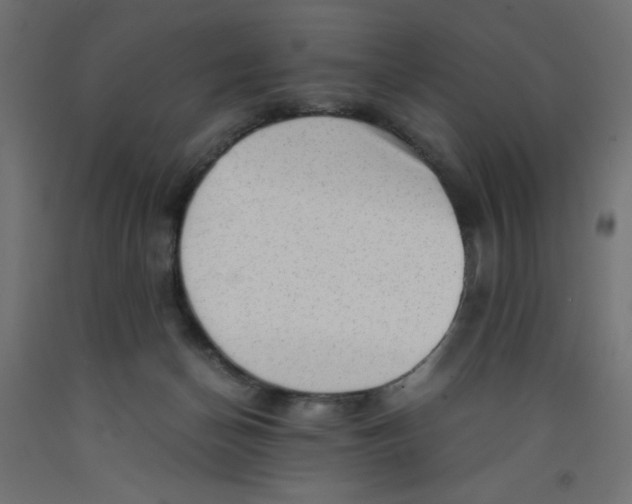 X0000092310174200710121505