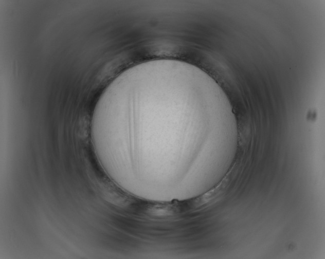 X0000092310175200710121505