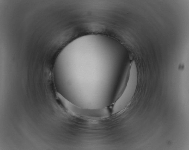 X0000092310176200710121505