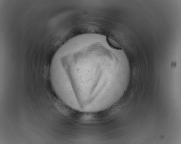 X0000092310177200710121505