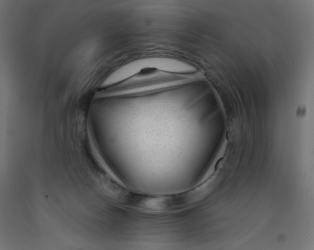 X0000092310178200710121505