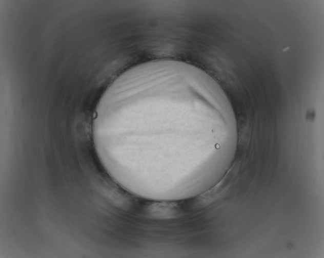 X0000092310179200710121505