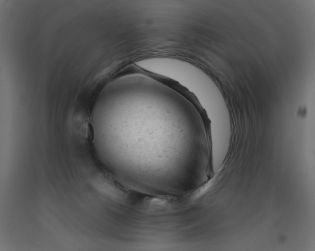 X0000092310180200710121505
