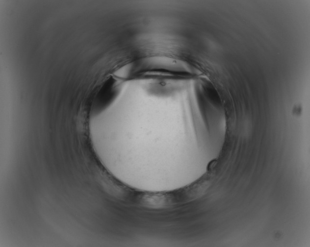 X0000092310181200710121505