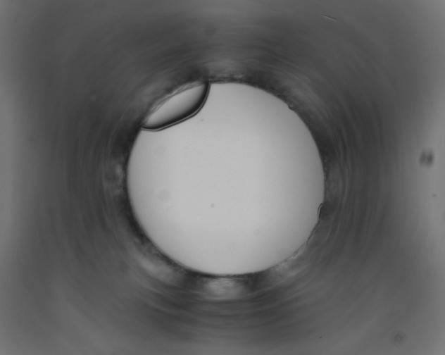 X0000092310183200710121505