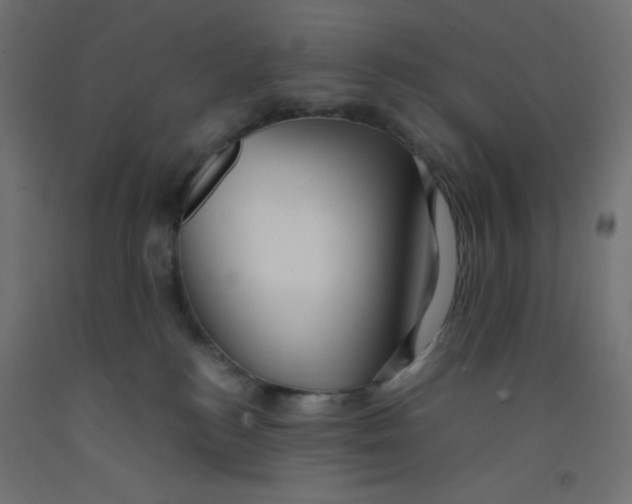 X0000092310184200710121505