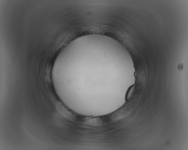 X0000092310185200710121505