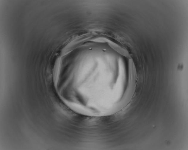 X0000092310186200710121505