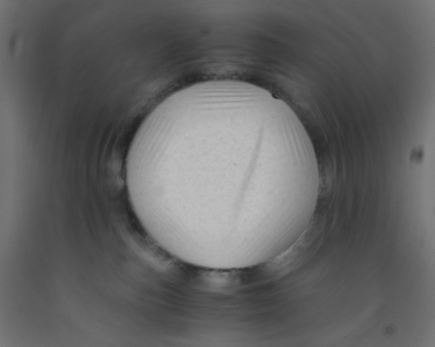 X0000092310187200710121505