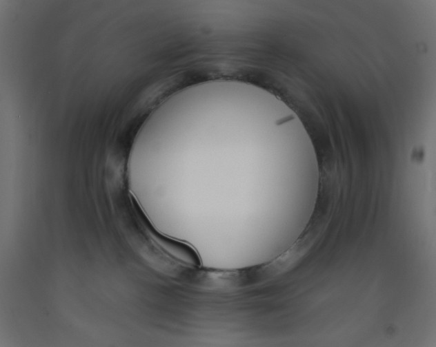 X0000092310188200710121505
