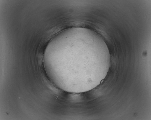 X0000092310189200710121505
