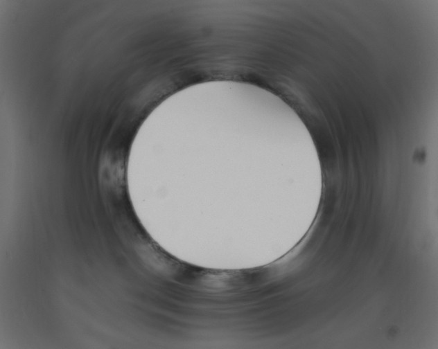 X0000092310190200710121505