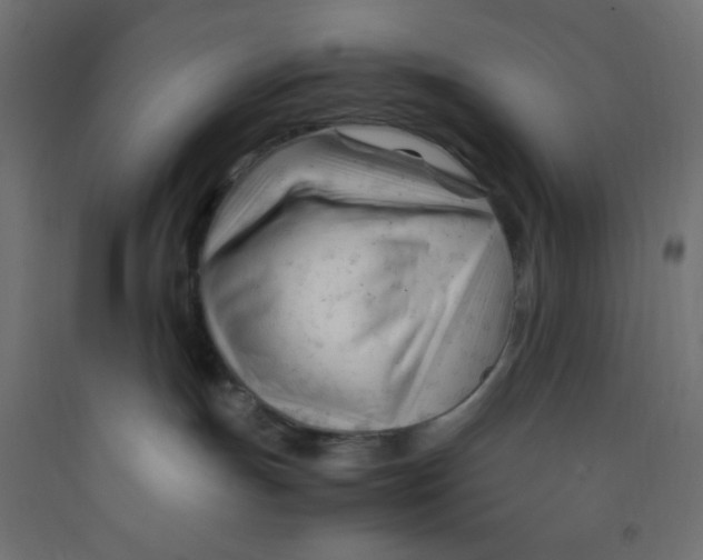 X0000092310191200710121505