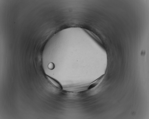 X0000092310192200710121505