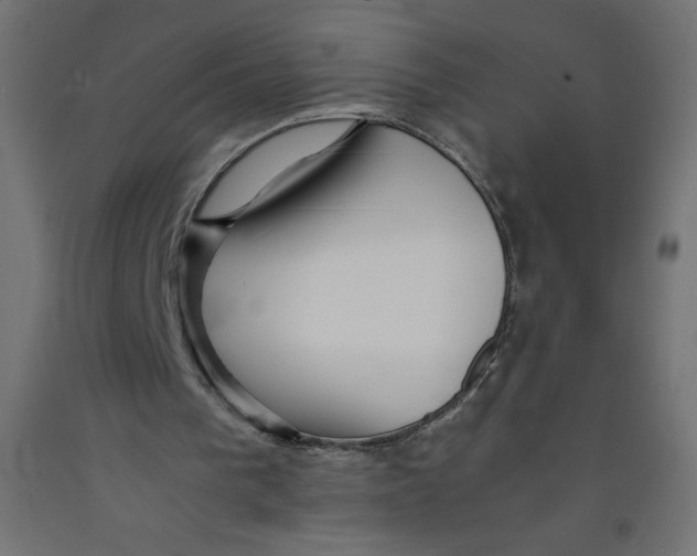 X0000092310193200710121505