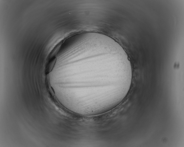 X0000092310194200710121505