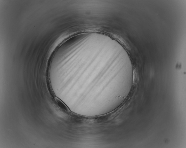 X0000092310195200710121505