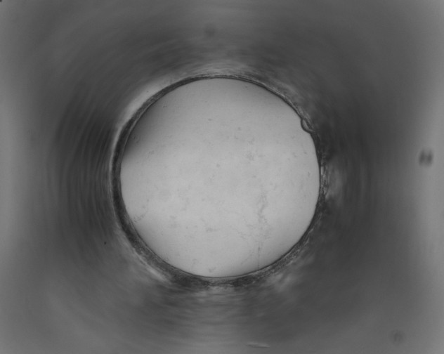 X0000092310196200710121505