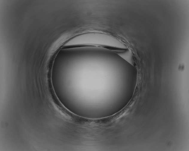 X0000092310197200710121505