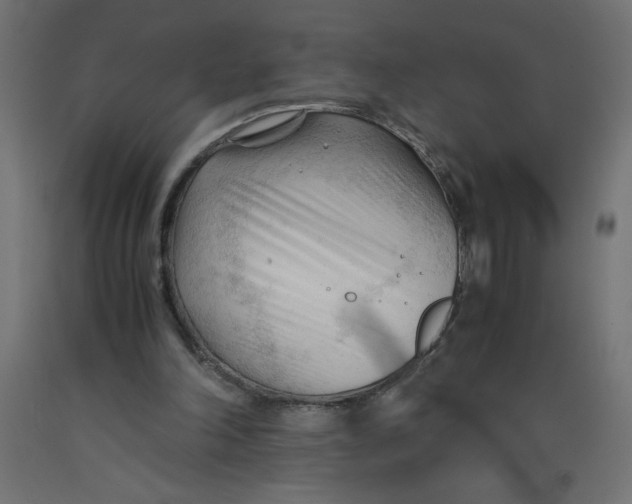 X0000092310198200710121505