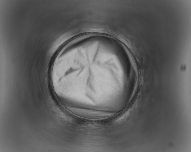 X0000092310199200710121505